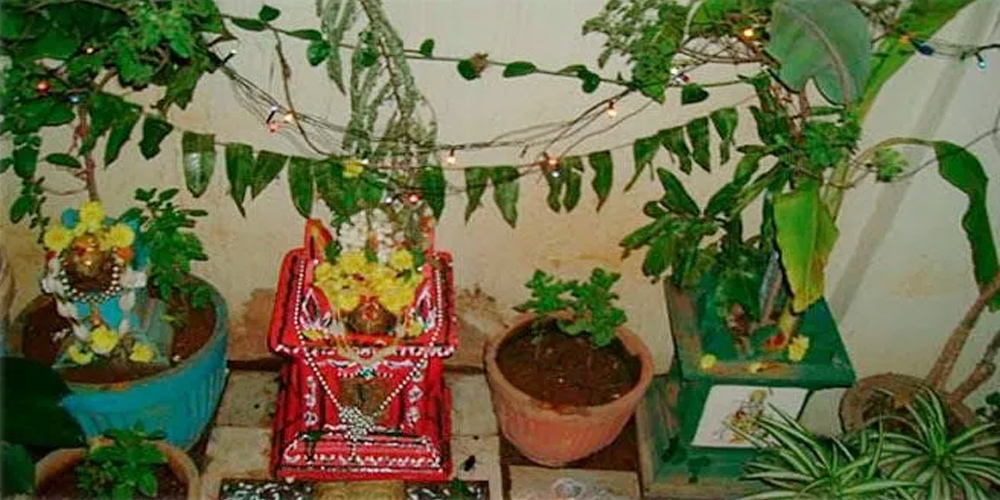 तुलसीको विवाह गरी मनाइँदै