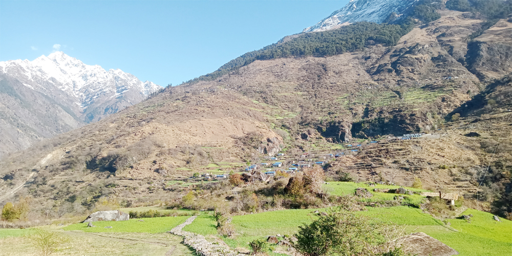 साइपालमा खाद्य संकट